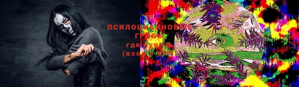 хмурый Богородск
